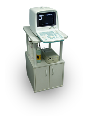 HONDA AS 2000 - ULTRASONOGRAF Z GŁOWICĄ 3,5 /5 / 7 MHz